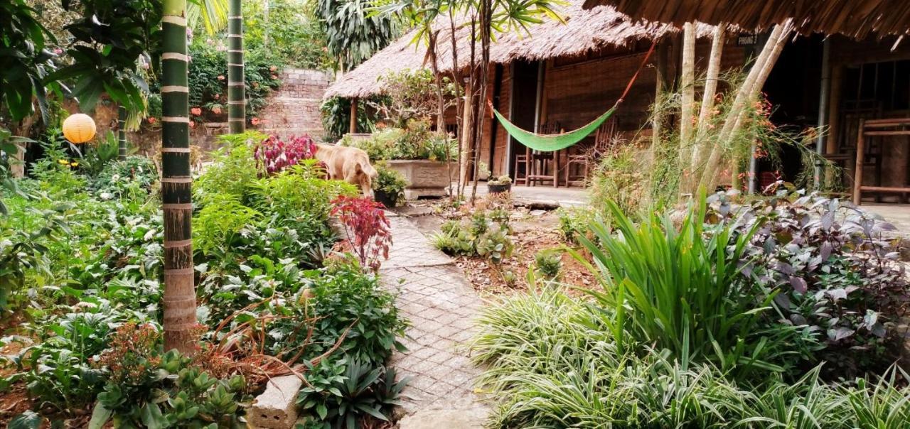 Family Homestay Ba Vi Εξωτερικό φωτογραφία