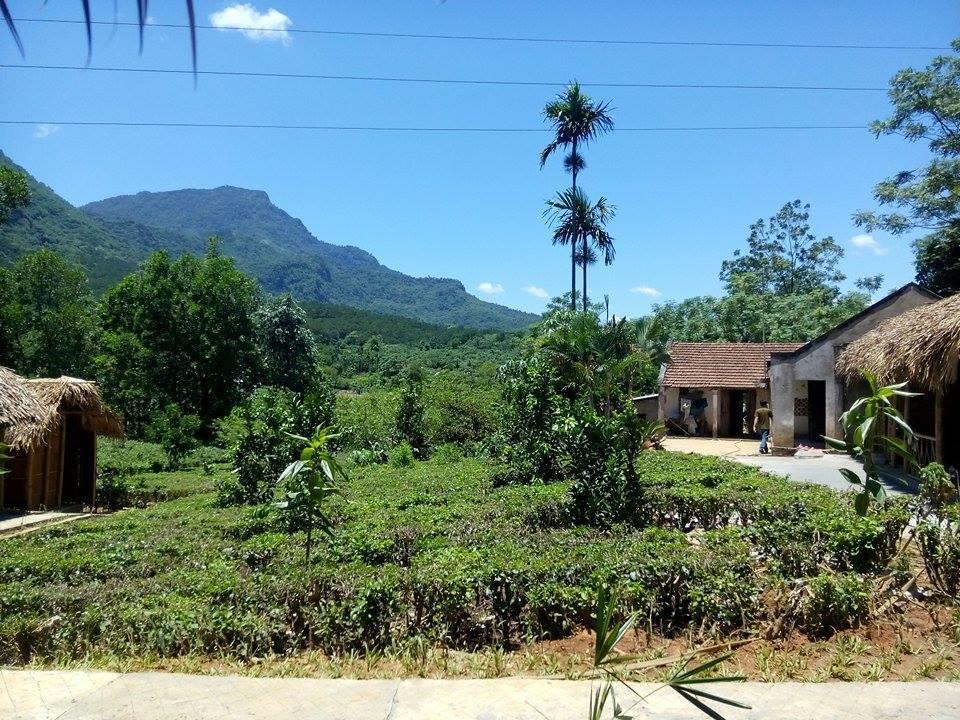 Family Homestay Ba Vi Εξωτερικό φωτογραφία