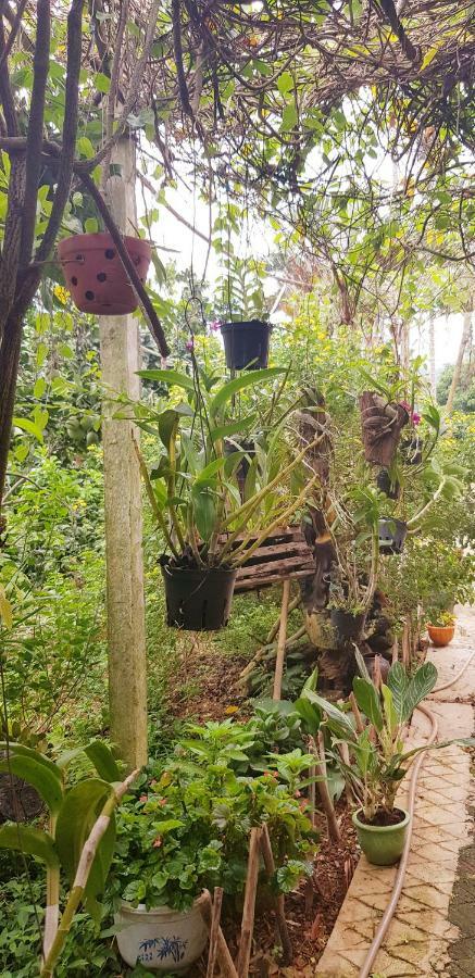 Family Homestay Ba Vi Εξωτερικό φωτογραφία