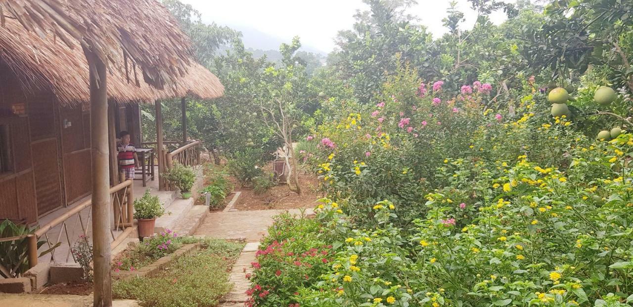 Family Homestay Ba Vi Εξωτερικό φωτογραφία