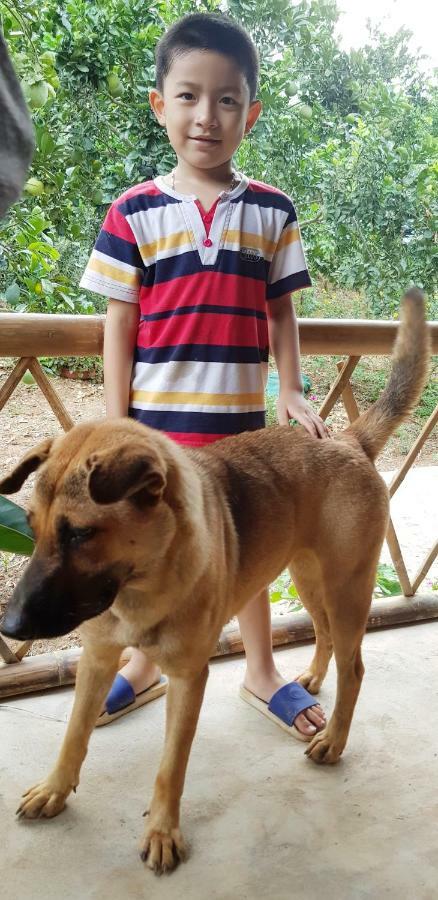 Family Homestay Ba Vi Εξωτερικό φωτογραφία